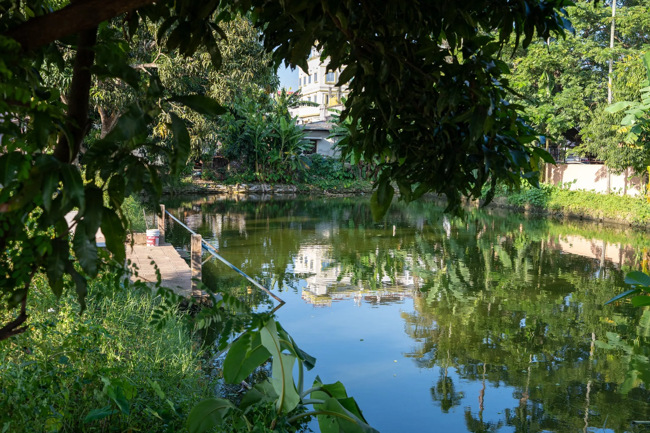 The pond on the Mission campus